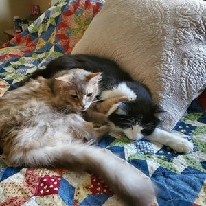 Meet your Posher, Sandy